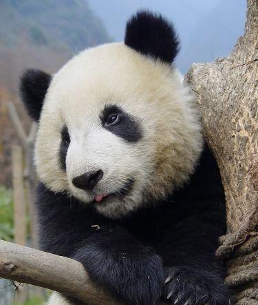 trustwebsite's profile picture. 