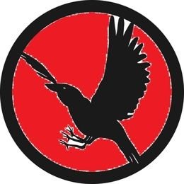 八咫烏★彡 八咫烏 (@yatagarasu0406) / Posts / X