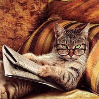 €uronauseata 🇮🇹 (@annaecce) 's Twitter Profile Photo €uronauseata 🇮🇹 (@annaecce) 's Twitter Profile Photo