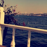 bander (@888ander) 's Twitter Profile