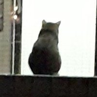 ログアウト (@toooooorinneddd) Twitter profile photo