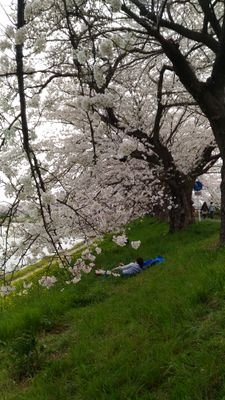 yoki_raise's profile picture. GoでWebアプリ作ったりGCPでインフラ構築したりする仕事をしている
C++は競プロだけ
AtCoder青
競プロ用自作ライブラリだよ
https://t.co/pWYiyx8iWM
基本情報/応用情報/元情報処理安全確保支援士/GCP PCA/python/Go/機械学習ちょっとわかる