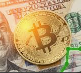 Megan30557313's profile picture. 