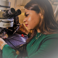 Prof Afia B Ali(@ABAli_neuronUCL) 's Twitter Profile Photo