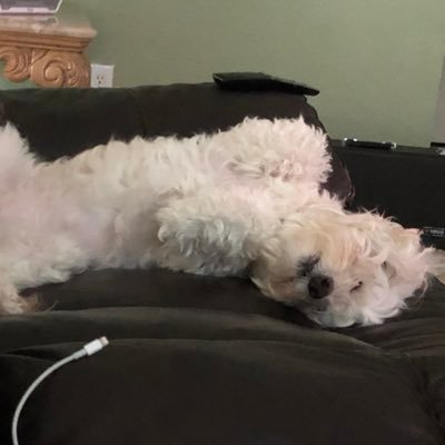 freddyfredbe's profile picture. 