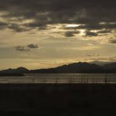 Verano1914's profile picture. Nací en 🇺🇾