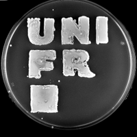 unifrBiology(@unifrBiology) 's Twitter Profile Photo