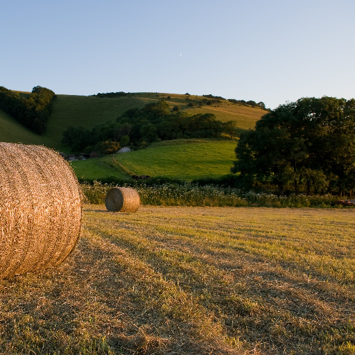 sussexair's profile picture. The Sussex Air Quality Partnership promotes improvements in air quality across Sussex (UK).