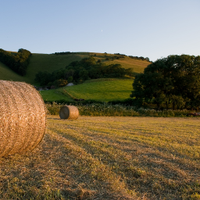 Sussex Air (@sussexair) 's Twitter Profile Photo Sussex Air (@sussexair) 's Twitter Profile Photo