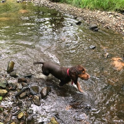 Catriona Logan Profile