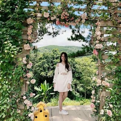 Aiphuong20's profile picture. I 'm a third-year  at HCMC Foreign Trade University, major in International business administration