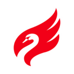St. Petersburg Swans Australian Rules Football Club