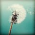 Newcastle University Research Strategy (@research_ncl) Twitter profile photo Newcastle University Research Strategy (@research_ncl) Twitter profile photo