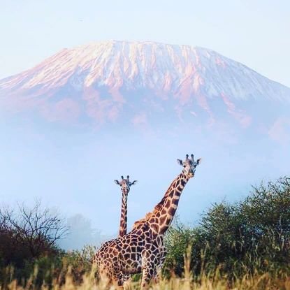 Saitoti29850015's profile picture. J