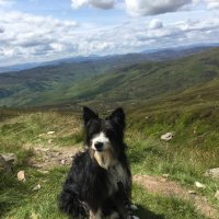 Gillian Bell (@gbell1cyppt) 's Twitter Profile