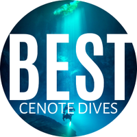 Best Cenote Dives(@BestCenoteDives) 's Twitter Profile Photo