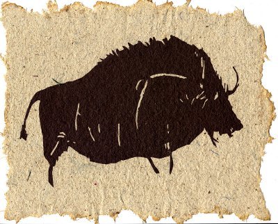 Hemp Bison seeks to to grow, raise, process and deliver the finest American grown industrial #hemp and #American #Bison products in the world.