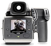 alegrianyc's profile picture. 