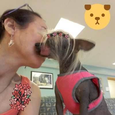 CheinFlorida's profile picture. Pray for a cure for MS, diabetes, lupus, cancer and chronic and invisible illnesses.  God bless. John 13:34-35