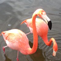 🌴FloridaWelcomesYouHome🌴 (@welcome2fl) Twitter profile photo