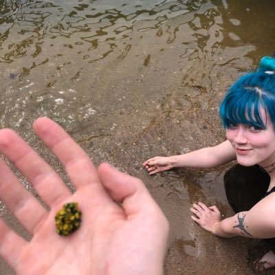 marmaldeband's profile picture. Don’t dance at our shows