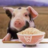 nobttt's profile image