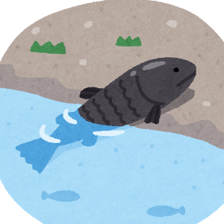 Kashiwamata_Kz's profile picture. ゲーム系メディアライター兼2号警備員、板橋区在住。去年（2018年）でキャリアは25年いったはず。近年の仕事は海外作品の紹介・レビュー・攻略が多い気がします。
お仕事の依頼、相談などはDMにてうけたまわります。