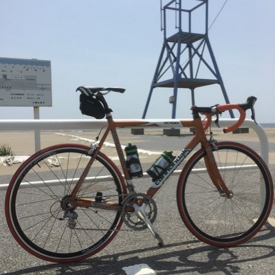 手組みホイール派。スポーツサイクルメカニックのハシクレ。一応自転車技士&安全整備士として電動アシストサイクル専門店に勤務してます。サイクリストとしては体重重めのなので車体の軽量化には興味無し。大した事は呟かず、現在色々模索中の日々。フォローは無言で可です。