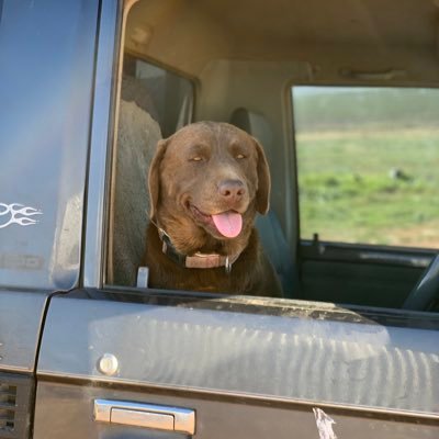 MichaelHockey80's profile picture. Proud farmer