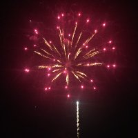 CM (@mcfaddens28) 's Twitter Profile
