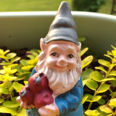 AlexandriaOmar2's profile picture. Switching to independent because I quit listening to talking points. #feminist. KY/CAL