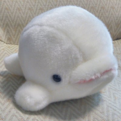 私の大好きな方…
伸びのあるキレイな歌声
そして手先足先まで目を奪われるほどキレイに伸びたダンス
お二人とも同じところに心奪われたのです💕

お一人は大好きになって早10年ほどの朝美絢さま
もうお一人はほんの数年まだ大好きになったばかりの初心者ファン宮舘涼太くん（舘様推し…）です❣️