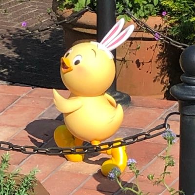 KZ15_m's profile picture. Omnibus 45th