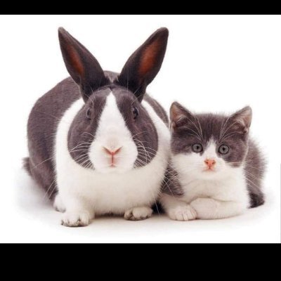 muhamma89267166's profile picture. ingat masa susah