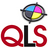 QLS_'s profile image
