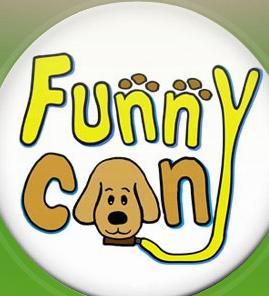 Somos una empresa de PASEADORES DE CANES y PELUQUERÍA CANINA en Antofagasta, puedes llamarnos al 780042 o al 91619881 para adquirir nuestros servicios.