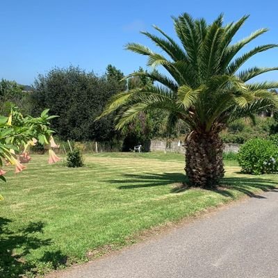 CosmySpain's profile picture. 