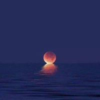 Behçet Al (@behcetalmd) 's Twitter Profile Photo