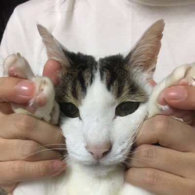 新聞はほとんど読まない、テレビもあまり観ない。ラジオが好きなハゲおじさん。江戸っ子になりたかった。ホッピー万歳。いいね!は応援、賞賛、同意!というつもりで押します。