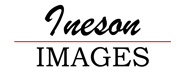 Professional photography based in North London