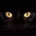 Asajj Ventress (@asagventress_) Twitter profile photo Asajj Ventress (@asagventress_) Twitter profile photo