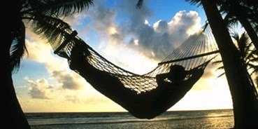 Nautilus_es's profile picture. 