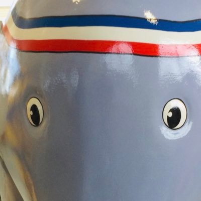 Raphael Elephant 🐘🏃🏻‍♂️さんのプロフィール画像