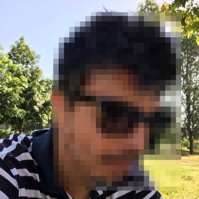 MauricioSard's profile picture.