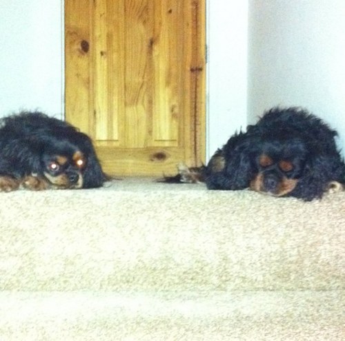 virgilkonate's profile picture. 