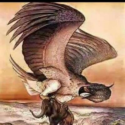 Rakeshk90459640's profile picture. soshal worker