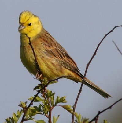 Keen naturalist and photographer.