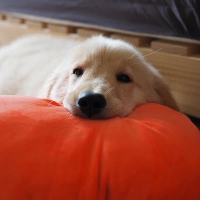 Sess11111's profile picture. ❌Private area❌