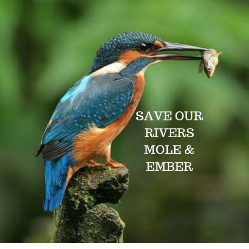 Watching EA plans for Mole & Ember rivers. Pls ask FASProject.LowerMole@environment-agency.gov.uk for consultation extension https://t.co/oBAK2JAWKh #SaveRiverMole