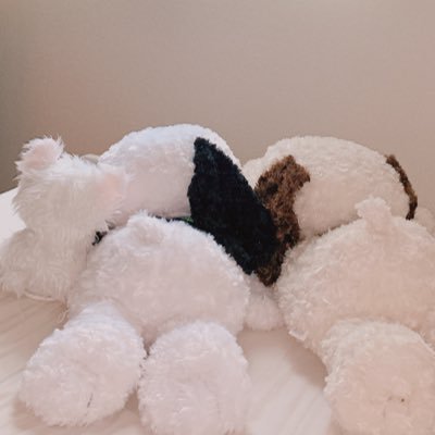 いくえちゃんさんのプロフィール画像